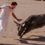 Oroscopo Toro 2026: previsioni estive su amore e relazioni, tra stabilità e possibili crisi.